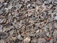 Wholesale Tuber Indicum, China Tuber Indicum.