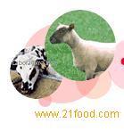 nutritional feed product
