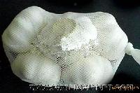fresh garlic