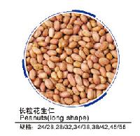 Peanut kernel