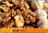 WALNUT KERNEL