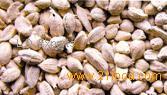 Half-Bleached Cardamom