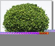 Green Bell Pepper Flakes