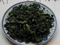IQF SPINACH LEAF CUT