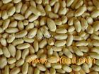 Blanched Peanuts