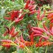 Capsaicin,natural colorant