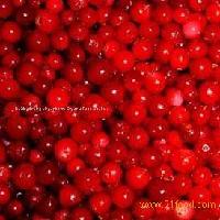  lingonberry   extract ,plant  extract 