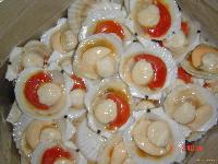 FROZEN  SCALLOP   HALF   SHELL 