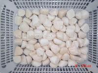 FROZEN SCALLOP,I.Q.F.