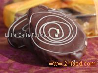 Chocolate Covered Pears