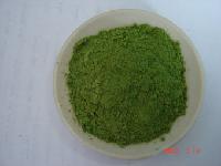wheat grass powder and extract juice powder
