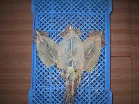 dried squid