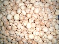 IQF mushroom/frozen mushrooms
