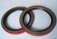 Bearing seal and protector