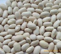 white kidney bean extract