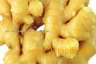 Natural Ginger Powder Extract