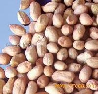 Peanuts