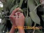 CATEGORY II  VANILLA  VANILLIN  EXTRACT S
