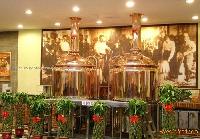 200L beer equipment