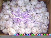 super garlic in carton