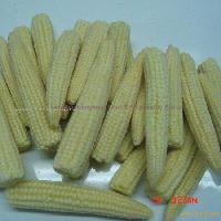  Frozen  Baby  Corn  Whole