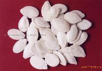 Cream Pumpkin Seed