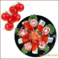 Sardine / Mackerel in Tomato Sauce