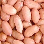 Peanuts Kernels