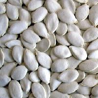 Snow White Pumpkin Seeds
