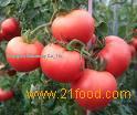 Tomato Extract Powder