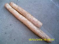  fresh  yam