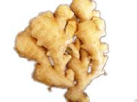  Semi - dried   ginger 