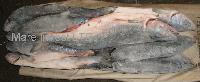 Pink Salmon