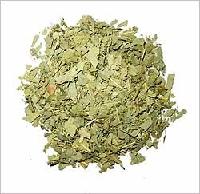 Eucalyptus Globulus Labill Leaf Pieces Tea