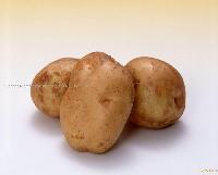 IQF Potato