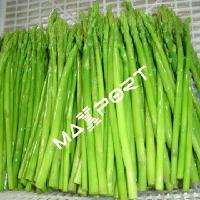 IQF Asparagus
