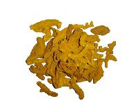 Curcuma