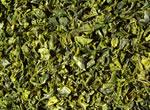 Paprika flakes green