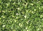  Chive   flakes 