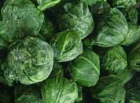 IQF  Spinach  Portions