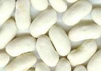 Medium white kidney beans