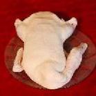 duck meat