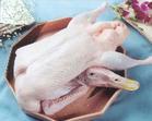 Goose Meat-3
