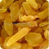 Kashmari Raisin