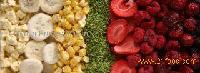  Freeze   Drying  Fruits
