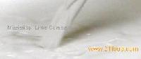 Precipitated Calcium Carbonate / PCC