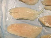 john dory