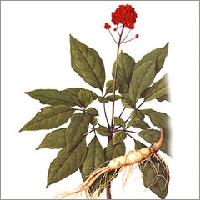 Ginseng extract