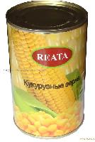  Canned   corn   kernel 