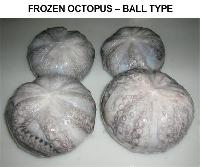 FROZEN OCTOPUS